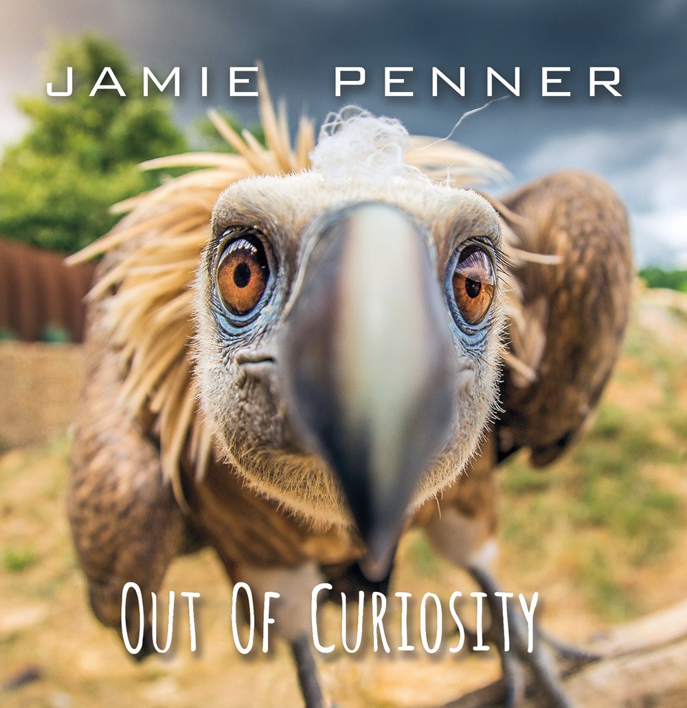 Out of Curiosity album artwork